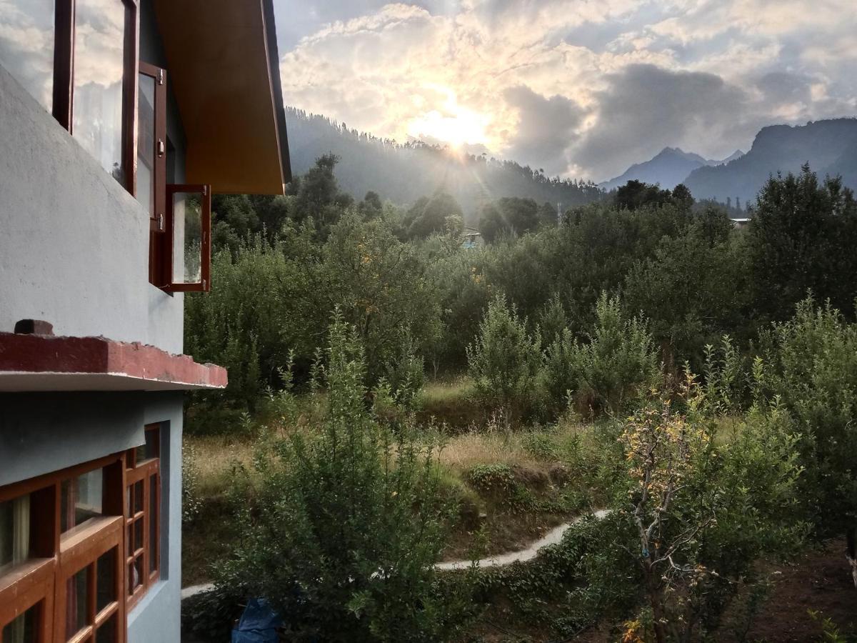 Pahadi Manzil Homestay & Hostel - Manali (Himachal Pradesh), Manali